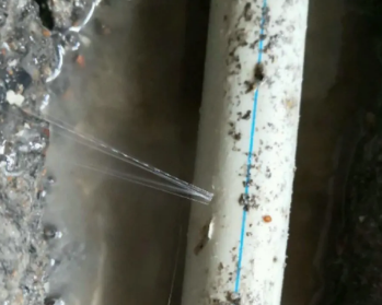 呼兰卫生间测漏水多少钱